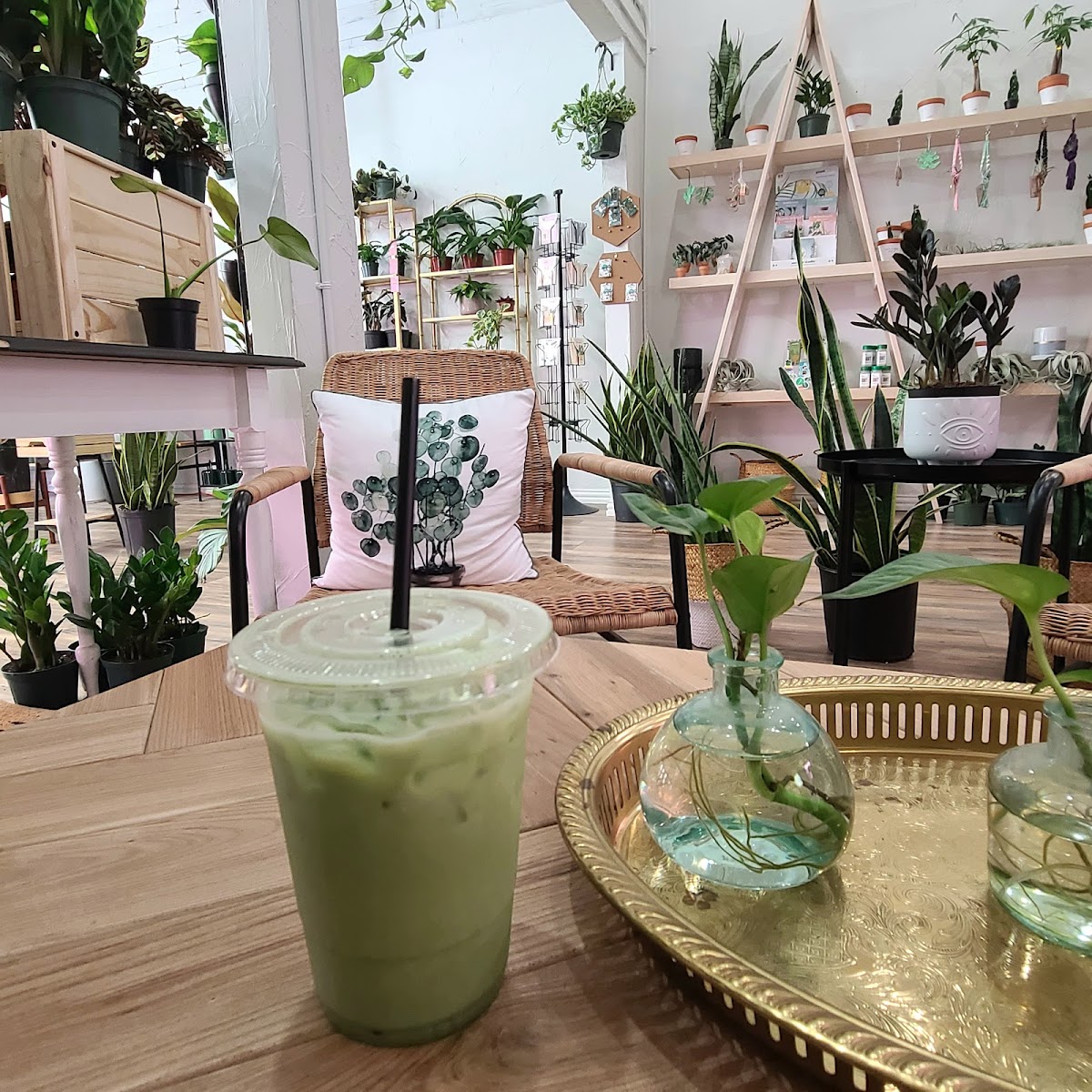 Habitat Plants + Coffee Photos 2